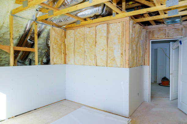 Best Eco-Friendly Insulation in Waupaca, WI