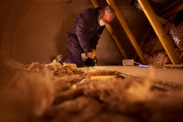 Best Specialized Insulation Services in Waupaca, WI